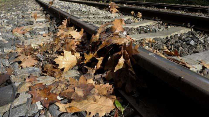 bladeren op spoor